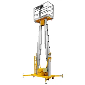 подъемник двухмачтовый gtwy 8-200s (t) (220в; 200 кг; 8 м) смартлифт (smartlift)